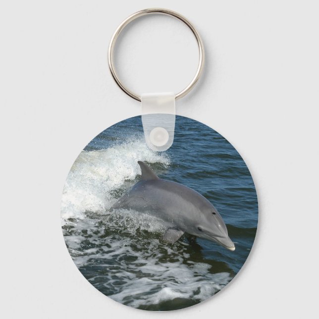 bottlenose dolphin photo keychain (Front)
