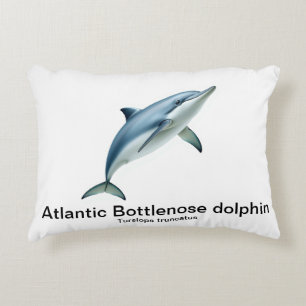 Bottlenose dolphin pillow