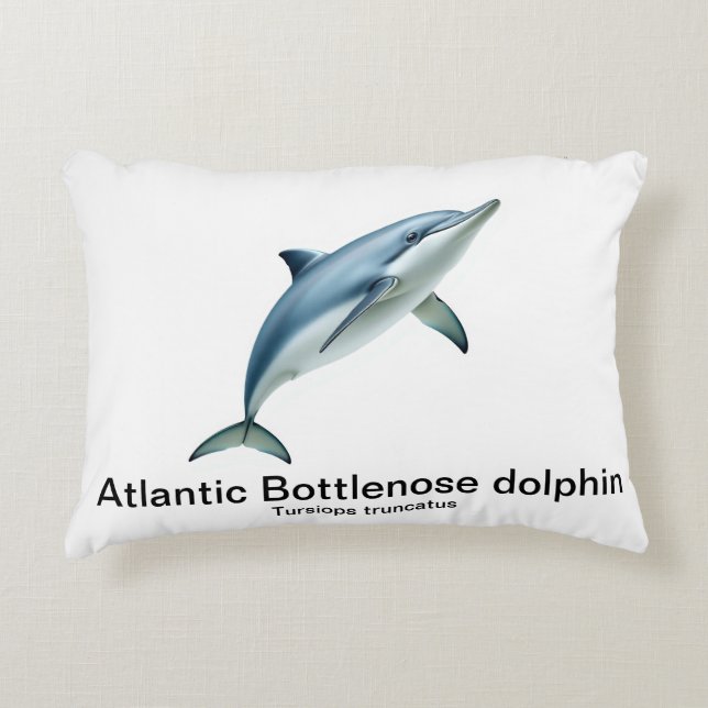 Bottlenose dolphin pillow (Front)
