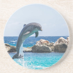 Bottlenose Dolphin Sandstone Coaster