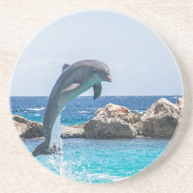 Bottlenose Dolphin Sandstone Coaster (Front)
