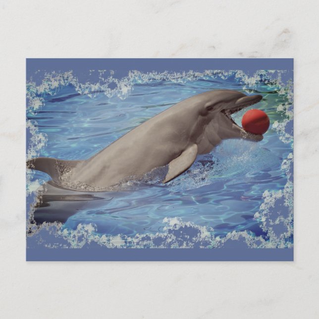 Bottlenose dolphin swimming with red ball postcard (Front)