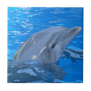 Bottlenose Dolphin Tile