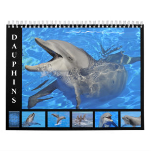 Bottlenose dolphins 12 month calendar