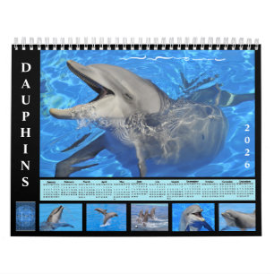 Bottlenose dolphins 12 month calendar