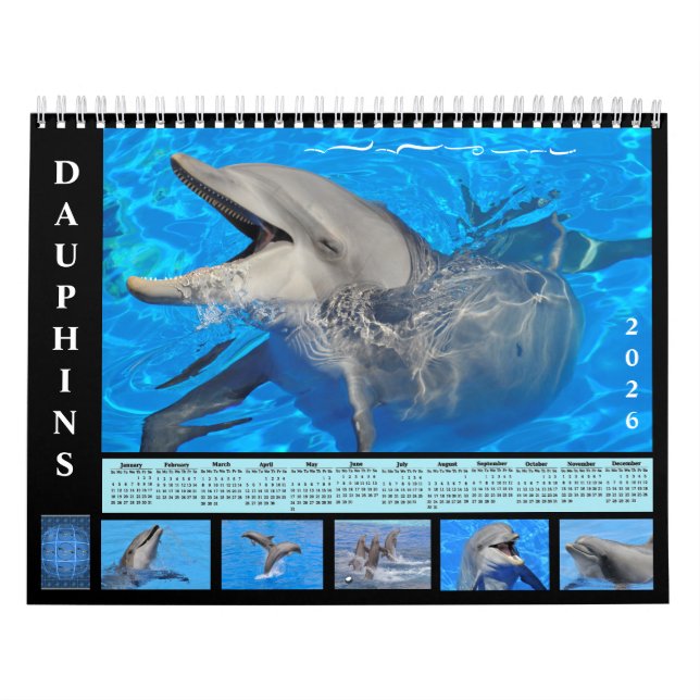 Bottlenose dolphins 12 month calendar (Cover)