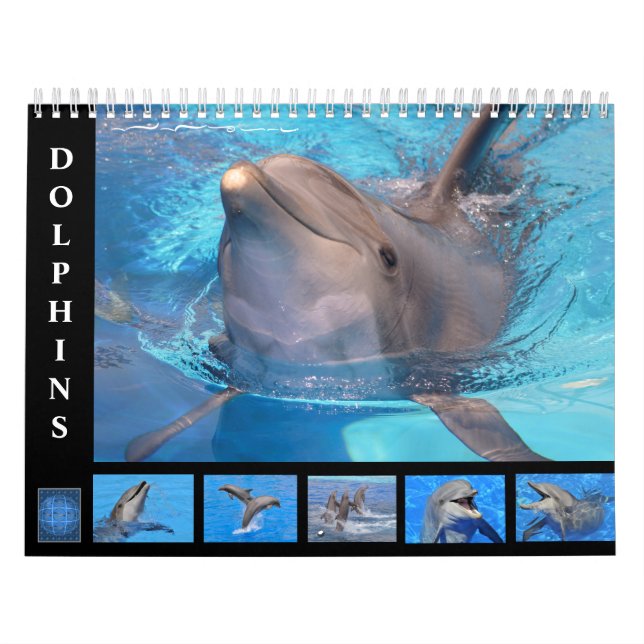 Bottlenose dolphins 12 month calendar (Cover)