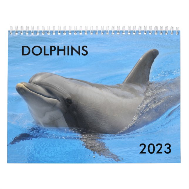 Bottlenose dolphins calendar (Cover)