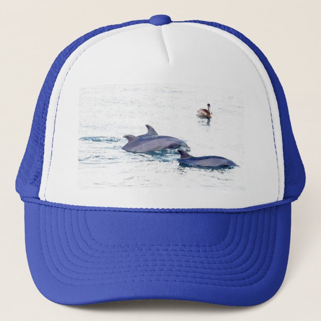 Bottlenose Dolphins Hat (Front)