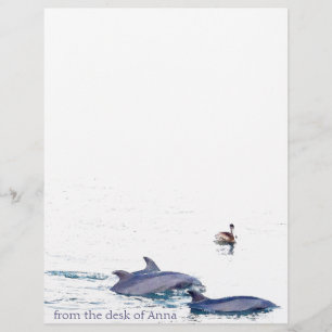 Bottlenose Dolphins Letterhead