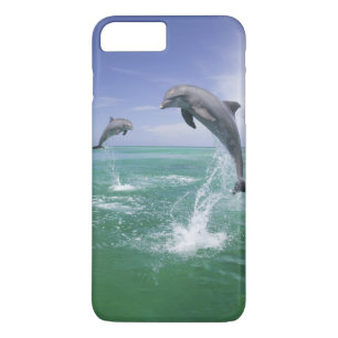 Bottlenose Dolphins Tursiops truncatus iPhone 8 Plus/7 Plus Case