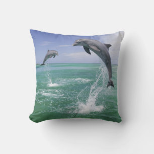 Bottlenose Dolphins Tursiops truncatus Cushion