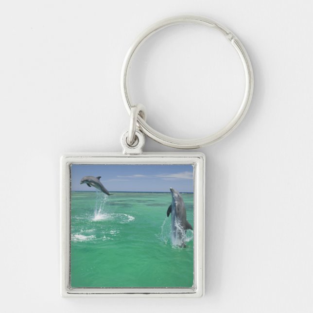 Bottlenose Dolphins Tursiops truncatus Key Ring (Front)