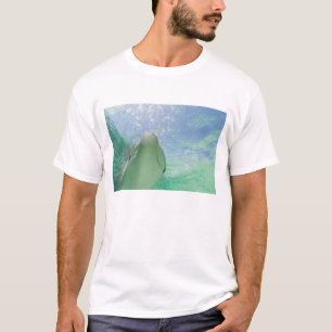 Bottlenose Dolphins Tursiops truncatus) T-Shirt
