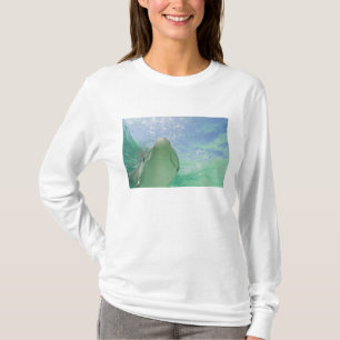 Bottlenose Dolphins Tursiops truncatus) T-Shirt