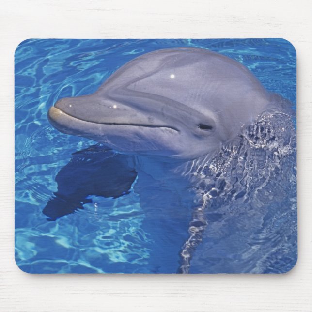 Bottlenosed Dolphin, Tursiops Truncatus Mouse Mat (Front)