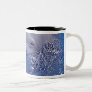 Bottlenosed Dolphin, Tursiops Truncatus Two-Tone Coffee Mug