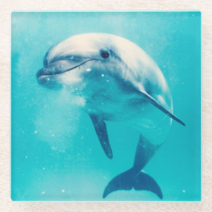 Bottlenosed Dolphin Underwater Glass Coaster