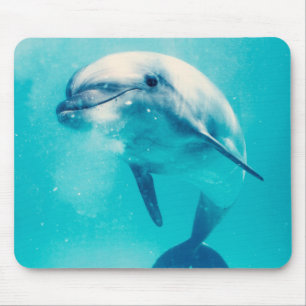 Bottlenosed Dolphin Underwater Mouse Mat