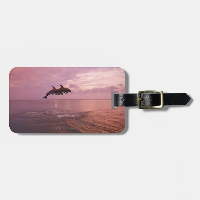 Bottlenosed Dolphins Jumping at Sunset Luggage Tag (Front Horizontal)