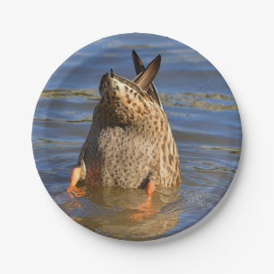 Bottoms Up Diving Duck Plate