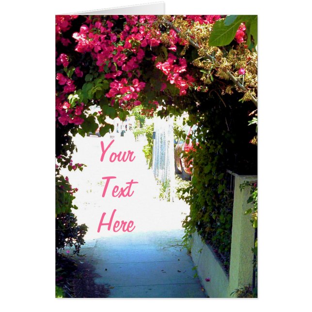 Bougainvillea (Front)