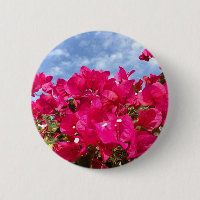 Bougainvillea and Beautiful Blue Sky