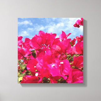 Bougainvillea and Beautiful Blue Sky Canvas Print