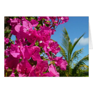 Bougainvillea and Palm Tree Tropical Nature Scene