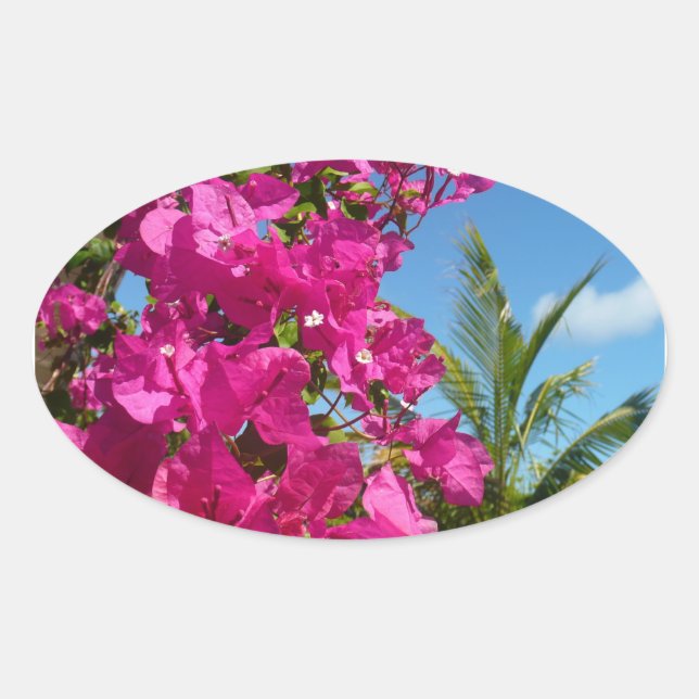 Bougainvillea and Palm Tree Tropical Nature Scene Oval Sticker (Front)
