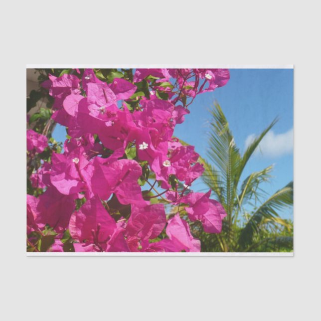 Bougainvillea and Palm Tree Tropical Nature Scene Tissue Paper (Front)