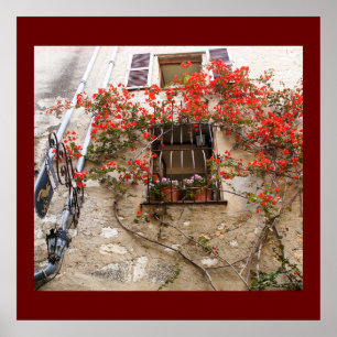 Bougainvillea at Window Poster