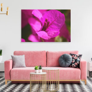 Bougainvillea Beauty Stretch Canvas Print