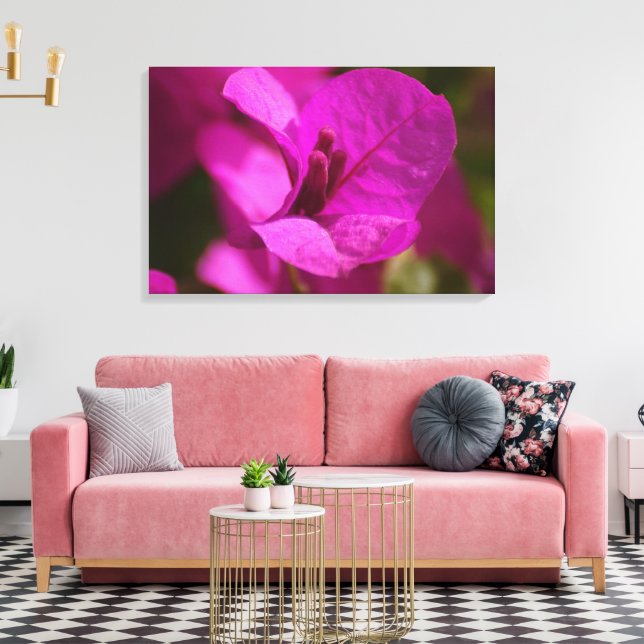 Bougainvillea Beauty Stretch Canvas Print (Insitu(LivingRoom))