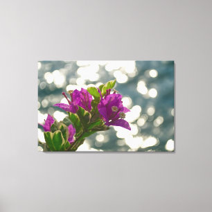 Bougainvillea Bokeh Sun Glitter Flower Photo Canvas Print