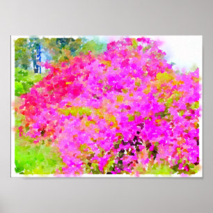 Bougainvillea bush,watercolor painting poster