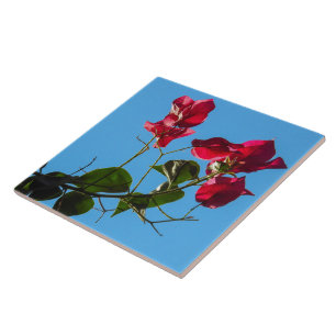 Bougainvillea Ceramic Tile