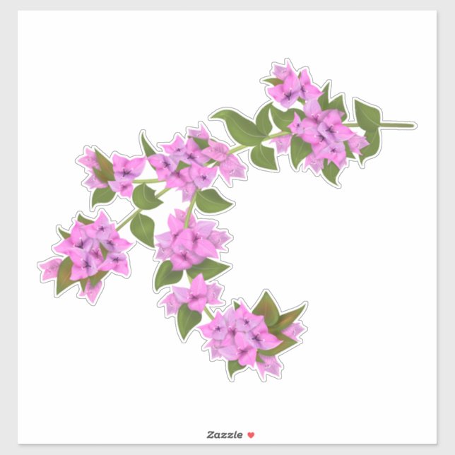 Bougainvillea decal (Sheet)