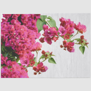 Bougainvillea Floral Mediterranean Greek Island Tissue Paper