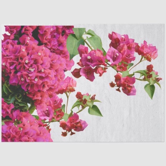 Bougainvillea Floral Mediterranean Greek Island Tissue Paper (Front)