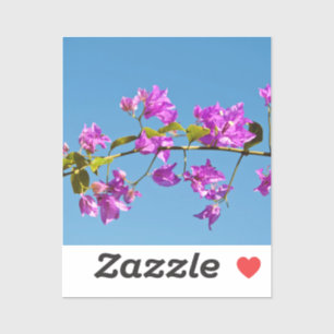 Bougainvillea Flowers