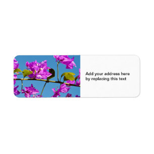 Bougainvillea Flowers