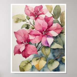 Bougainvillea Flowers Painting Water Colour Poster