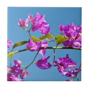 Bougainvillea Flowers Tile