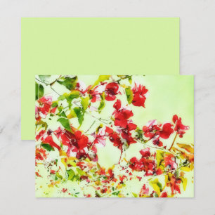 Bougainvillea Flowers Vine Art Note Card Set