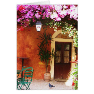 Bougainvillea growing outside a house, Mykonos, Gr