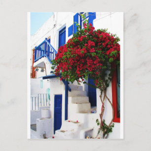Bougainvillea growing outside a house, Mykonos Postcard