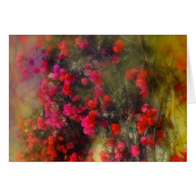 Bougainvillea Impressionist Card (Front Horizontal)