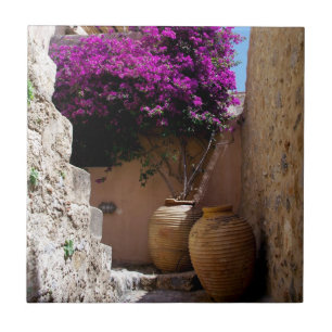 Bougainvillea in amphorah tile