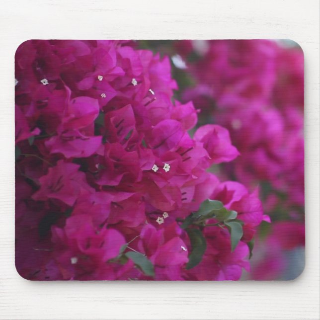 bougainvillea mousepad (Front)
